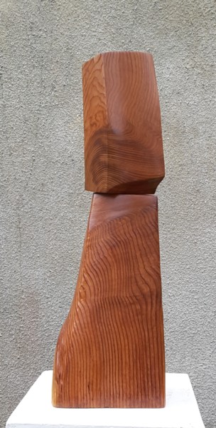 雕塑 标题为“Chevalier” 由Maryvonne Lorgeré, 原创艺术品, 木