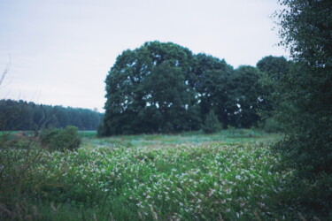 Arts numériques intitulée "Summer wind" par Marylia Filipovich, Œuvre d'art originale, Photo montage