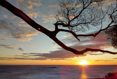 Photographie intitulée "Sunset à Nouméa" par Maryline Payssé, Œuvre d'art originale, Photographie numérique