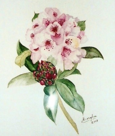 Peinture intitulée "Fleur de rhododendr…" par Marylou, Œuvre d'art originale
