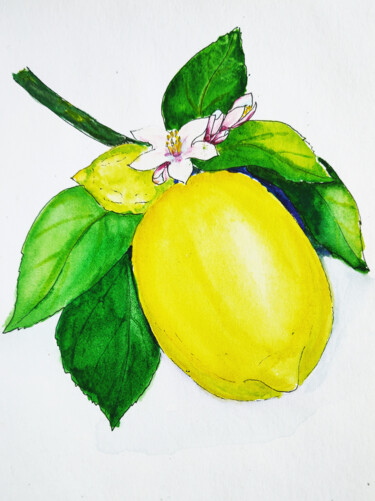 Peinture intitulée "Lemon on the branch…" par Maryna Pohorielko, Œuvre d'art originale, Aquarelle