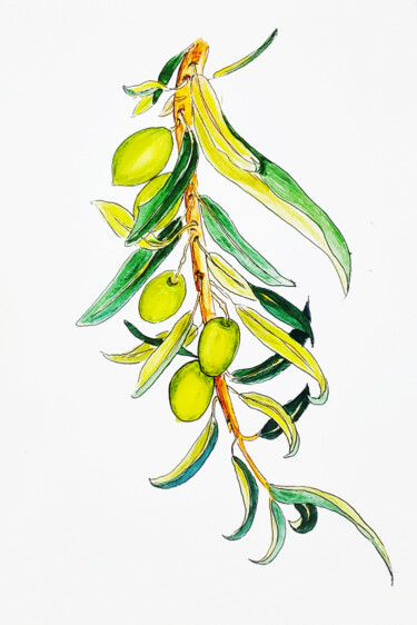 Painting titled "Olive branch" by Maryna Pohorielko, Original Artwork, Watercolor