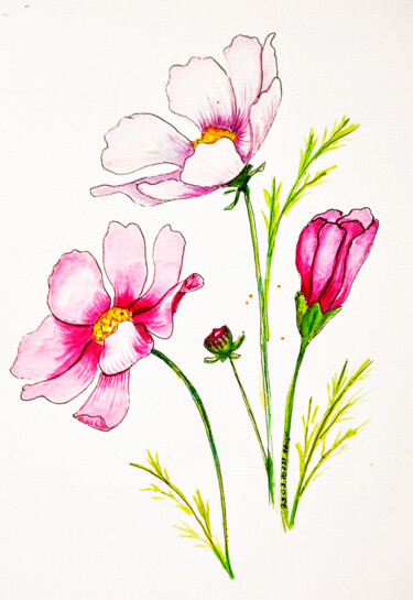 Painting titled "COSMEIA FLOWERS" by Maryna Pohorielko, Original Artwork, Watercolor