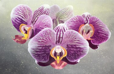 Painting titled "Orchidea" by Maryna Sakalouskaya, Original Artwork, Oil
