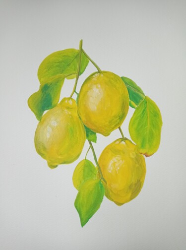 Pittura intitolato "Sunny lemons" da Maryna Voitenko, Opera d'arte originale, Gouache
