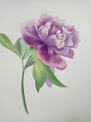 Painting titled "Peony" by Maryna Voitenko, Original Artwork, Watercolor