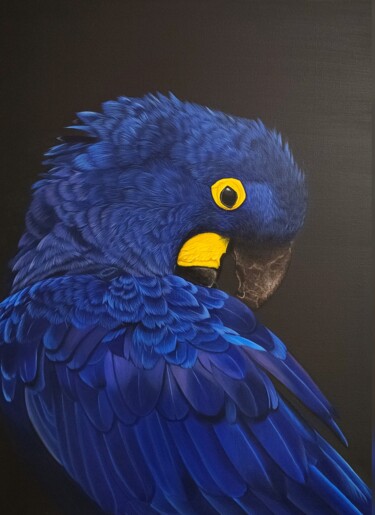 Pintura intitulada "Hyacinth macaw" por Maslova Art Gallery, Obras de arte originais, Acrílico