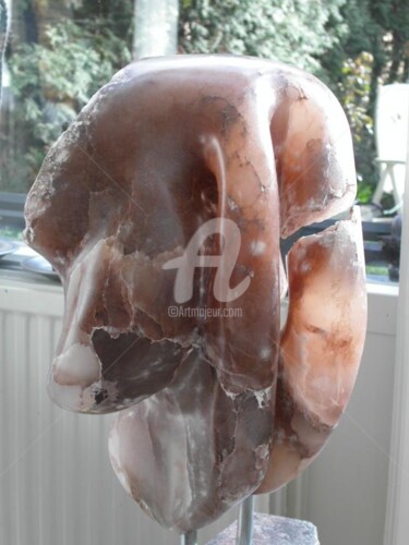 Sculpture intitulée "naissance d'un nez…" par Ypatoum, Œuvre d'art originale