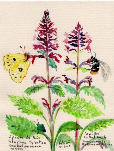 Painting titled "Soufré papillon" by Mateos, Original Artwork