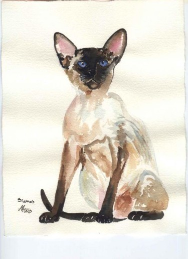 Painting titled "chat persan" by Mateos, Original Artwork, Watercolor