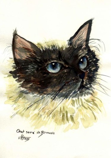 Peinture intitulée "chat sacré de birma…" par Mateos, Œuvre d'art originale