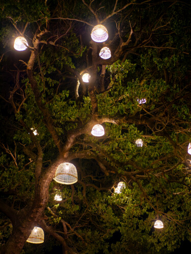 Fotografia intitulada "Lights on the tree" por Mateusz Koss, Obras de arte originais, Fotografia digital