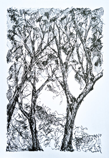 Dessin intitulée "Trees" par Matheus Chuery, Œuvre d'art originale, Stylo gel