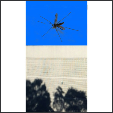 Отпечатки и Гравюры под названием "collage_06.jpg" - Matheus Gorovitz, Подлинное произведение искусства