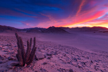 Фотография под названием "Glow du désert" - Mathieu Pujol, Подлинное произведение искусства, Цифровая фотография Установлен…