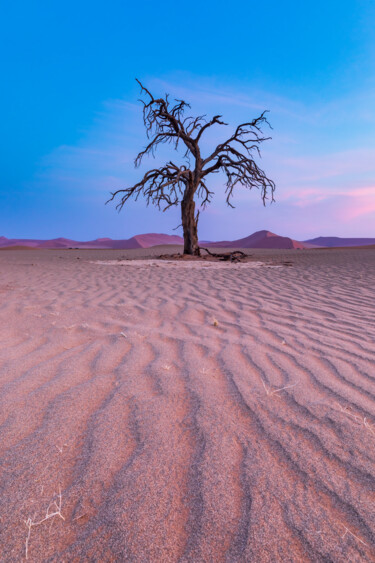 Photographie intitulée "Solitude du désert" par Mathieu Pujol, Œuvre d'art originale, Photographie numérique Monté sur Alumi…