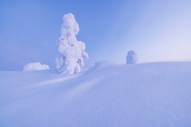 Photographie intitulée "Sculpture de neige" par Mathieu Pujol, Œuvre d'art originale, Photographie numérique Monté sur Alumi…