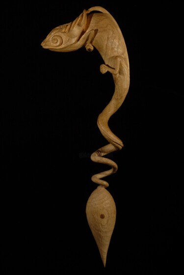 Sculpture intitulée "le caméléon et la g…" par Mathieu Rapp, Œuvre d'art originale, Bois