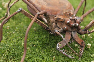 Skulptur mit dem Titel "Terifiantes lugubris" von Mathieu Rapp, Original-Kunstwerk, Metalle