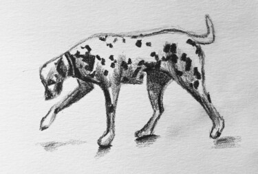 Dessin intitulée "Dalmatien" par Mathilde Donne, Œuvre d'art originale, Crayon