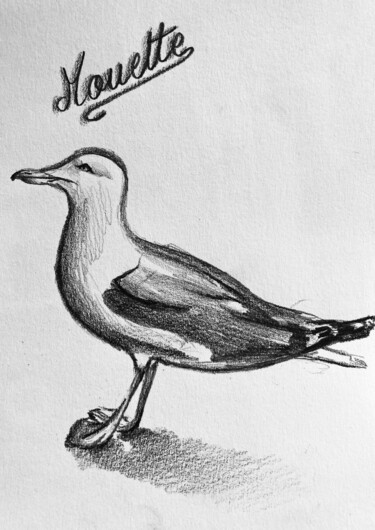 Drawing titled "Mouette" by Mathilde Donne, Original Artwork, Pencil