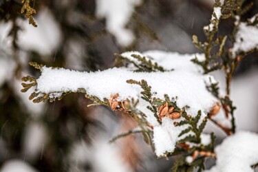 Fotografie getiteld "Macro Study of Snow…" door Matt Kohnen, Origineel Kunstwerk, Digitale fotografie