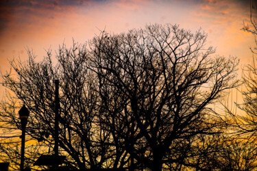 Φωτογραφία με τίτλο "A Winter's sunset" από Matt Kohnen, Αυθεντικά έργα τέχνης, Ψηφιακή φωτογραφία