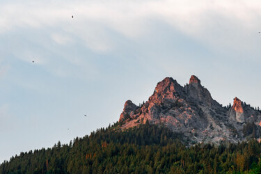 Fotografía titulada "Nature - Col de Per…" por Matthieu Lê, Obra de arte original, Fotografía digital