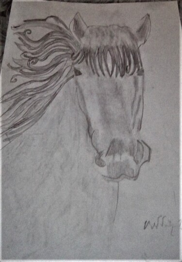 Drawing titled "cavallo-01.jpg" by Mattia Baldin, Original Artwork, Pencil