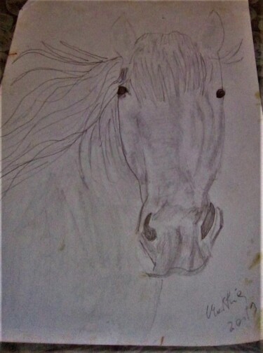 Pittura intitolato "cavallo-2.jpg" da Mattia Baldin, Opera d'arte originale