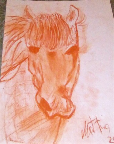 Desenho intitulada "cavallo-3.jpg" por Mattia Baldin, Obras de arte originais