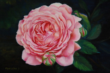 Peinture intitulée "ROSE ANGLAISE" par Yvette Matysiak, Œuvre d'art originale, Huile