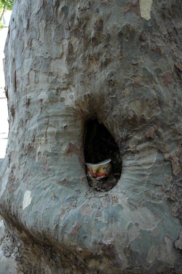 Photographie intitulée "ARBRE  POUBELLE" par Yvette Matysiak, Œuvre d'art originale