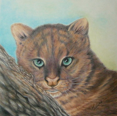 Drawing titled "Le jaguarondi" by Maud Leclercq, Original Artwork, Pencil
