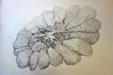 Dessin intitulée "Fleur mamaire" par Maude Ovize, Œuvre d'art originale