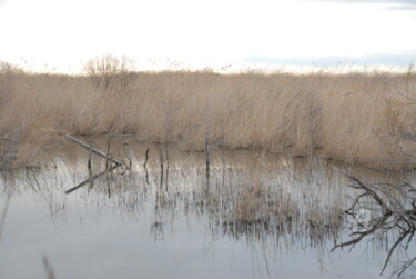 Photography titled "marais et reflets" by Martine Maury, Original Artwork, Non Manipulated Photography