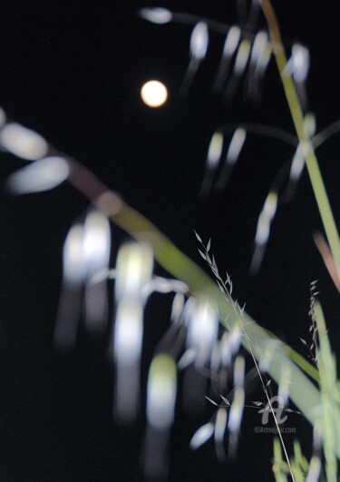 摄影 标题为“la lune au loin” 由Martine Maury, 原创艺术品, 非操纵摄影