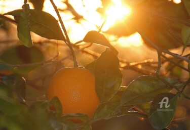 Photography titled "orange mure" by Martine Maury, Original Artwork, Non Manipulated Photography