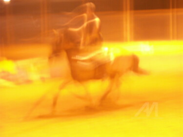 voltige Photographie intitulée "voltige" par Martine Maury, Œuvre d'art originale, Photographie non manipulée