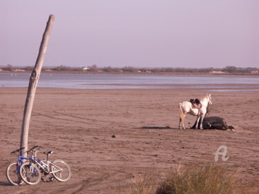 Fotografia intitulada "cheval et vélos" por Martine Maury, Obras de arte originais, Fotografia Não Manipulada