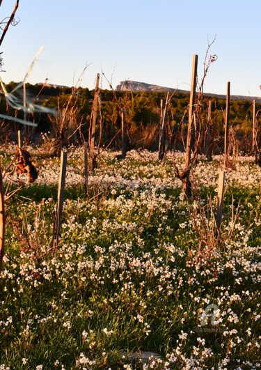 Photographie intitulée "la sainte baume" par Martine Maury, Œuvre d'art originale, Photographie non manipulée