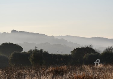 Photography titled "la brume matinale" by Martine Maury, Original Artwork, Digital Photography