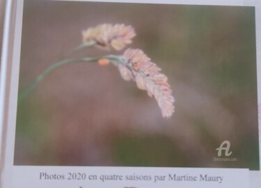 Arts numériques intitulée "les 4 saisons" par Martine Maury, Œuvre d'art originale, Photo montage