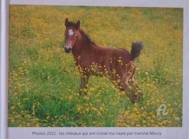 Digitale Kunst getiteld "les chevaux qui ont…" door Martine Maury, Origineel Kunstwerk, Foto Montage