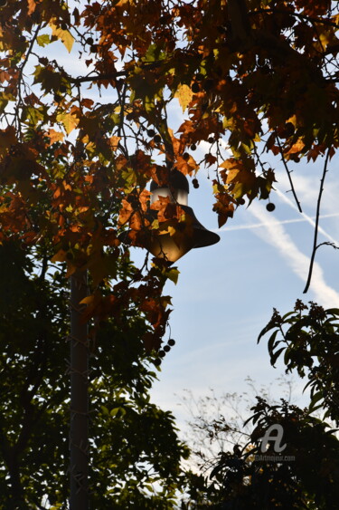 Photographie intitulée "reverbère d'automne" par Martine Maury, Œuvre d'art originale, Photographie non manipulée Monté sur…