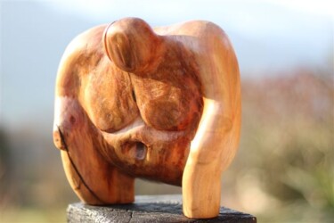 Sculpture titled "Sumo, inébranlable…" by Max Bernard, Original Artwork, Wood