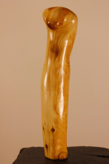 Sculpture intitulée "Perdu" par Max Bernard, Œuvre d'art originale, Bois