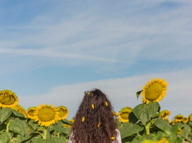 Photography titled "Sunflowers 2" by Maxime Grumel, Original Artwork, Non Manipulated Photography