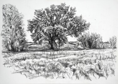 Drawing titled "Holding the ground." by Maxine Cameron, Original Artwork, Graphite