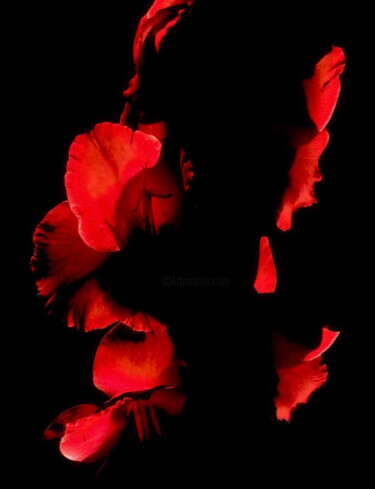 Photographie intitulée "Red Flowers - Photo…" par Maxime Guengant, Œuvre d'art originale, Photographie numérique
